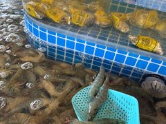 -万达文华酒店·48F云端窗景美食汇自助餐厅