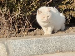 -炳灵寺世界文化遗产旅游区