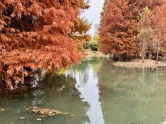 -白塘生态植物园