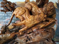 -陕西自然博物馆