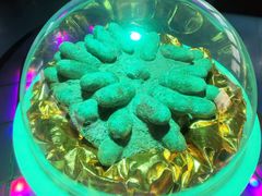-诸城市恐龙博物馆