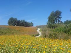 -长春世界雕塑园冰雪艺术天地