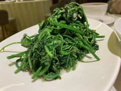 龙须菜-许家菜(望江店)