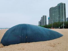 -金梦海湾浴场