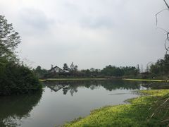 -桤木河湿地公园