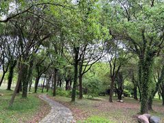 -苏州上方山国家森林公园