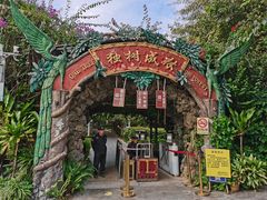 -瑞丽独树成林风景区