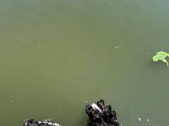-长春北湖公园
