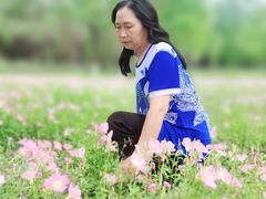 -汉长安城未央宫国家考古遗址公园