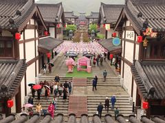 -大唐贡茶院