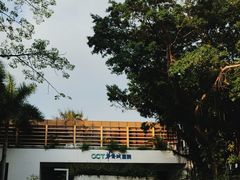 -深圳华侨城医院