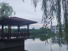 -古塔公园