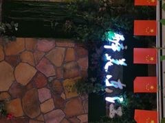 -醉美东江·三文鱼·烧鸡公