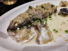 姜蓉蒸鲈鱼-金汇酒楼(中山东区店)