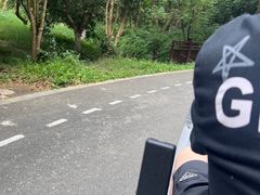 -东平国家森林公园