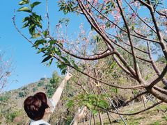-小南山公园