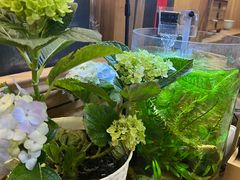 -隆德堂青瓷艺术·茶馆(故宫店)