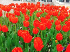 -无锡市市民中心