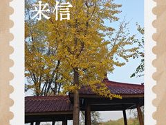 -塘沽森林公园