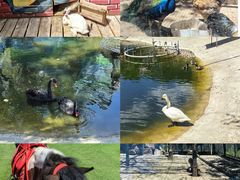 -北京鹿世界主题园