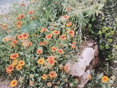 -梨木台悦来客农家院