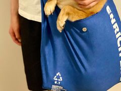 -北京博爱动物医院有限公司