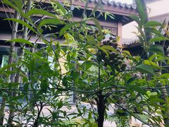 -雅达·阳羡溪山小镇中心