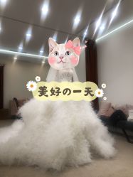点击看大图 -纯色时光婚纱艺术馆WHITE