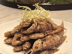 -喜来登由由大酒店九州膳坊中餐厅