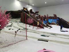 -重庆际华园室内极限运动中心