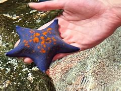 -沈阳海洋探索中心