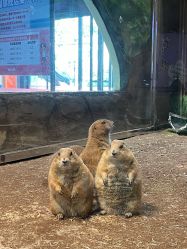 点击看大图 -宝燕乐园(闵行旗舰店)