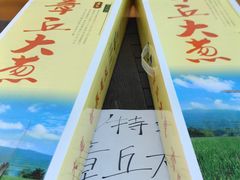 -辛庄国际文化艺术区