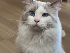 -大户人家(水门路店)