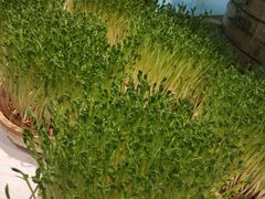 -千稻剁椒大鱼头(CityOn熙地港店)