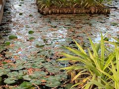 -五缘湾湿地公园