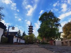 -普洱茶府(博乐广场店)