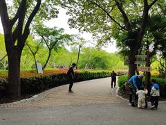 -同里国家湿地公园