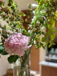 -阿南达·瑜伽普拉提·阿育吠陀疗愈中心