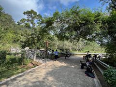 -南宁良凤江国家森林公园