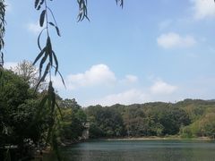 -紫霞湖公园