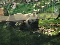 -鄂尔多斯野生动物园