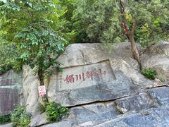 -泰山风景名胜区