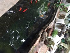 iphone_upload_pic-新竹里馆·花园餐厅(兴苑路店)