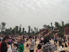 -枫香湖儿童公园
