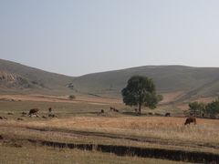 -石条山