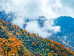 -瓦屋山景区