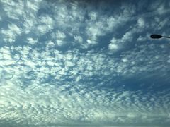 -春花秋色城市公园