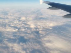 -禧鳳記·猪肚鸡火锅(玖洲道店)