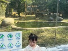 -泉州海丝野生动物世界